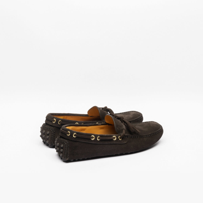 Shop Car Shoe Ebano Suede Driving Loafer In Marrone