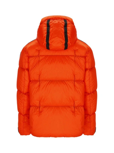 Shop Parajumpers Jackets In Carrot