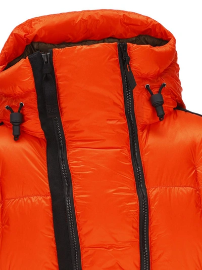 Shop Parajumpers Jackets In Carrot
