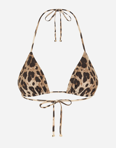 Shop Dolce & Gabbana Triangle Bikini Top With Leopard Print In Animal Print