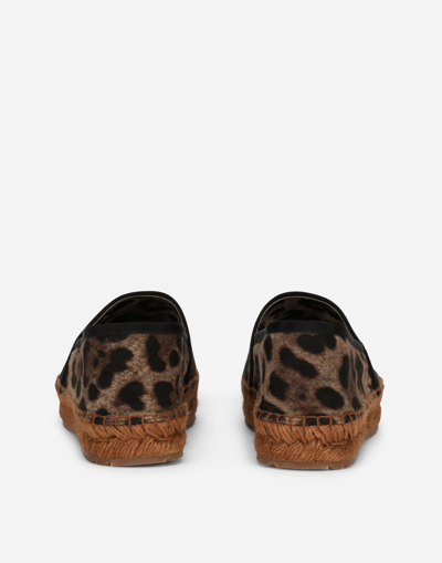 Shop Dolce & Gabbana Leopard-print Fabric Espadrilles In Animal Print