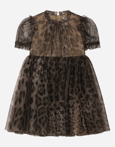 Shop Dolce & Gabbana Leopard-print Tulle Midi Dress In Animal Print