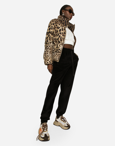 Dolce & Gabbana Padded Jacket In Animal Print