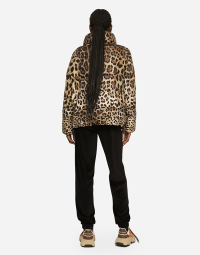 Dolce & Gabbana Padded Jacket In Animal Print