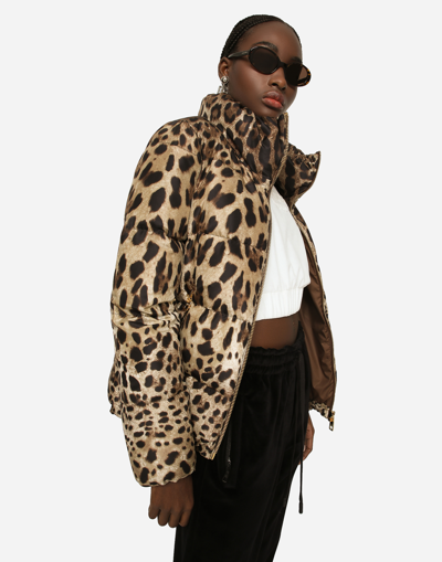 Dolce & Gabbana Padded Jacket In Animal Print