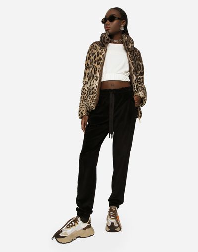 Dolce & Gabbana Padded Jacket In Animal Print
