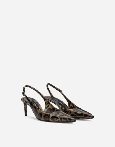 Dolce & Gabbana Animalier Brown Calf Leather With Heel In Multi