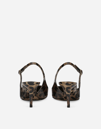 Dolce & Gabbana Animalier Brown Calf Leather With Heel In Multi