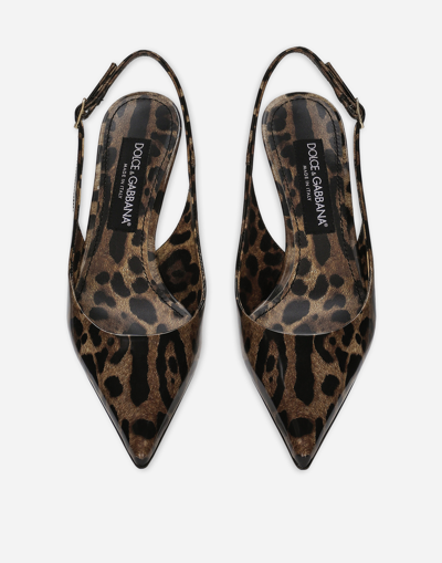Dolce & Gabbana Animalier Brown Calf Leather With Heel In Multi
