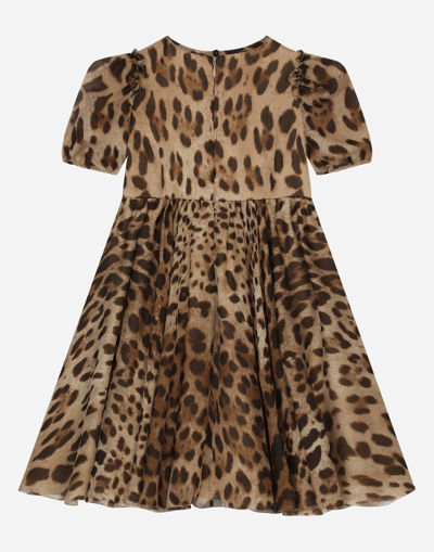 Dolce & Gabbana Leopard-print Chiffon Midi Dress In Animal Print