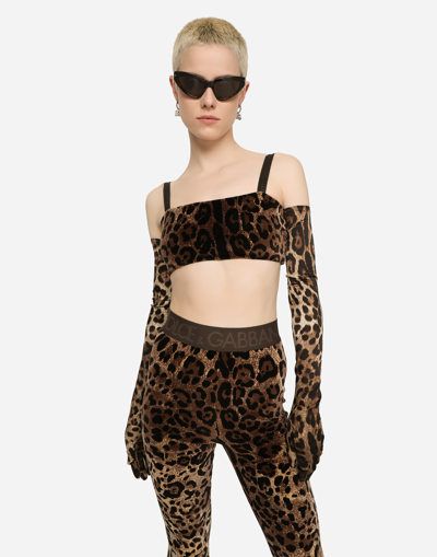 Dolce & Gabbana High Waist Leopard Print Cotton Blend Leggings In Multicolor