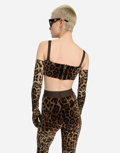 Dolce & Gabbana High Waist Leopard Print Cotton Blend Leggings In Multicolor