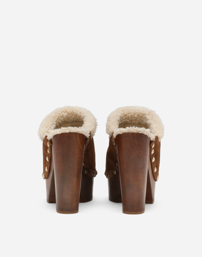 Shop Dolce & Gabbana Suede And Faux Fur Clogs In Brown