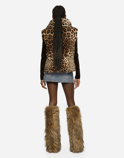 Dolce & Gabbana Synthetic Fibers Jacket In Brown