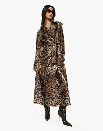 Shop Dolce & Gabbana Leopard-print Coated Sateen Trench Coat In Animal Print