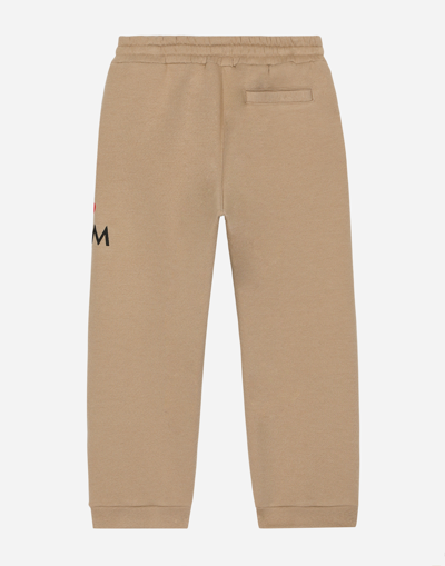 Shop Dolce & Gabbana Cotton Jogging Pants With Embroidery In Pale Pink
