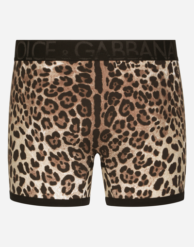 Shop Dolce & Gabbana Long-leg Two-way Stretch Cotton Boxers With Leopard Print In Animal Print