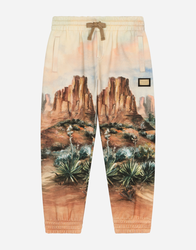 Shop Dolce & Gabbana Cotton Jogging Pants With Canyon Print And Logo Tag In Brown