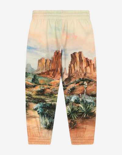 Shop Dolce & Gabbana Cotton Jogging Pants With Canyon Print And Logo Tag In Brown