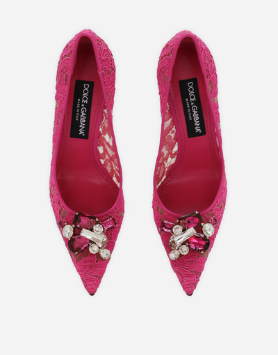 Dolce & Gabbana Rainbow Lace In Lurex Lace Pumps In Fuchsia