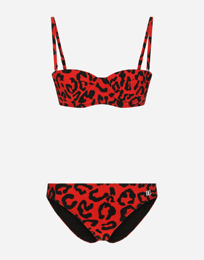 Dolce & Gabbana Leopard-print Balconette Bikini In Red