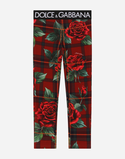 Shop Dolce & Gabbana Interlock Leggings With Tartan And Rose Print In Red