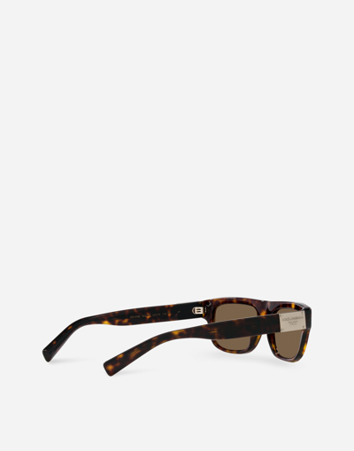 Shop Dolce & Gabbana Dg Plaque Sunglasses In Havana