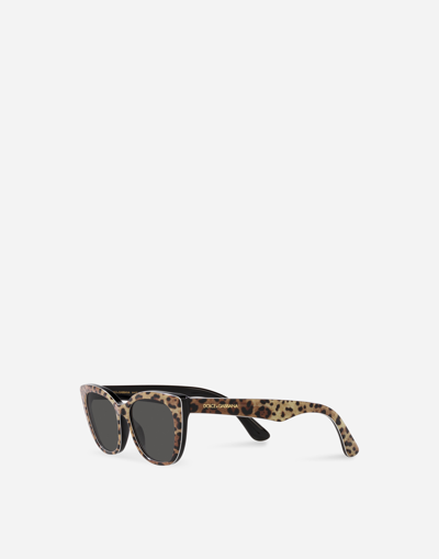 Shop Dolce & Gabbana Mini Me Sunglasses In Leo Print