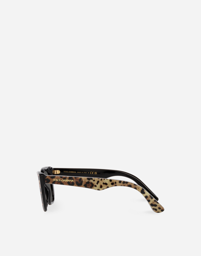 Shop Dolce & Gabbana Mini Me Sunglasses In Leo Print