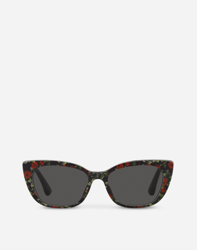 Shop Dolce & Gabbana Mini Me Sunglasses In Multicolor