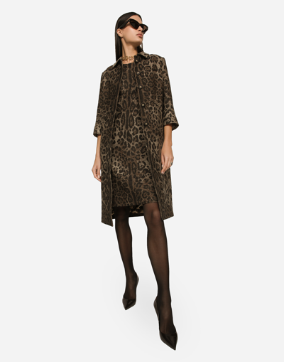 Dolce & Gabbana Leopard Print Wool Chemisier Dress In Animalier1