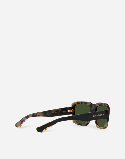 Shop Dolce & Gabbana Lusso Sartoriale Sunglasses In Matte Black On Yellow Havana