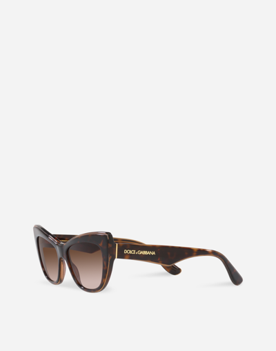 Shop Dolce & Gabbana New Print Sunglasses In Havana