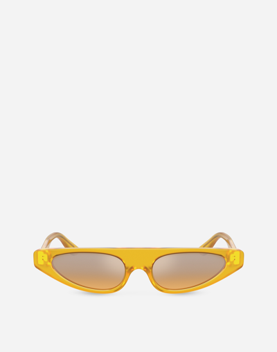 Shop Dolce & Gabbana Re-edition Sunglasses In Opaline Yellow