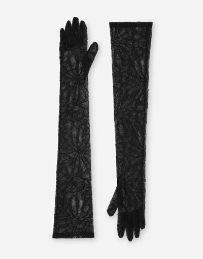 Shop Dolce & Gabbana Long Lace Gloves In Black