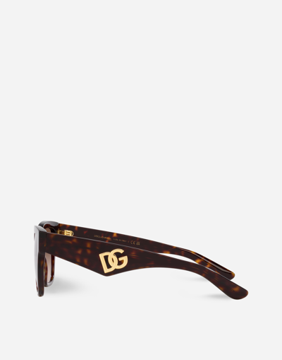 Shop Dolce & Gabbana Dg Crossed Sunglasses In Havana