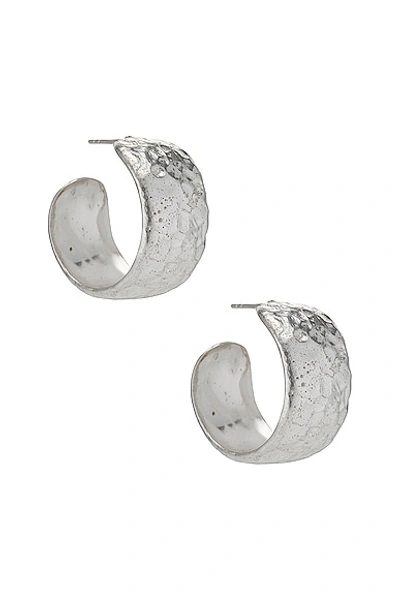 Shop Aureum Hazel Earrings In Sterling Silver