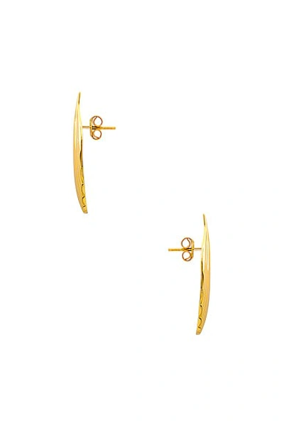 Shop Aureum Bernadette Earrings In Gold Vermeil