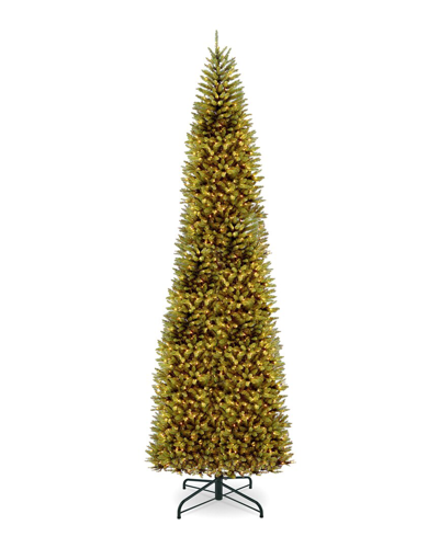 Shop National Tree Company 6ft Kingswood Fir Pencil Tree With Clear Lights In Green
