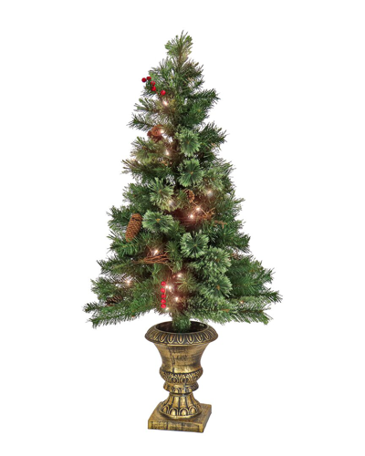 Shop National Tree Company 4ft Glistening Pine Entrance Tree With Clear Lights In Green
