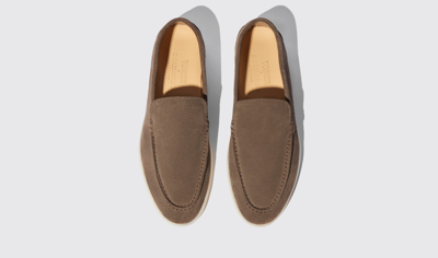 Scarosso Ludovica Suede Loafers In Deep Taupe - Suede