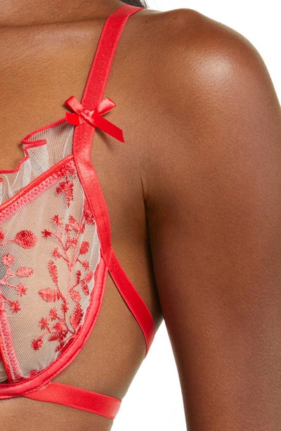 Coquette Embroidered Garter Belt & G-string Set In Red
