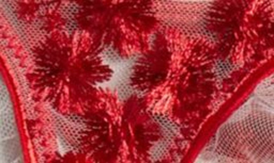 Coquette Embroidered Garter Belt & G-string Set In Red