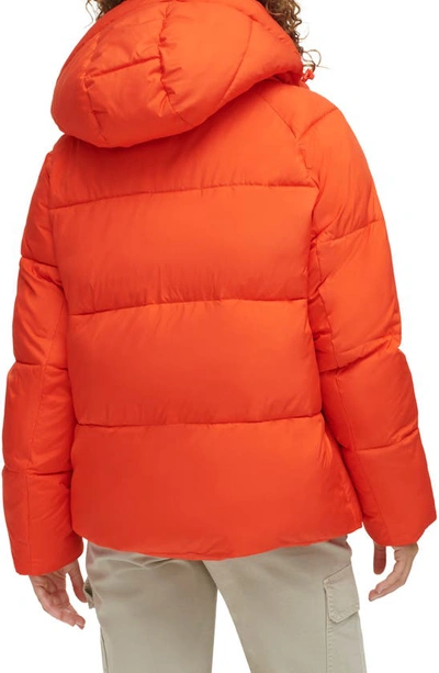 Shop Levi's Hooded Puffer Jacket In Orange