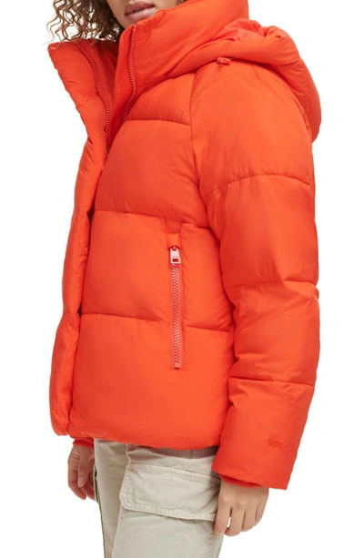 Shop Levi's Hooded Puffer Jacket In Orange