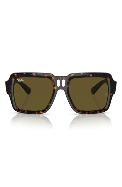 Shop Ray Ban Magellan 54mm Square Sunglasses In Havana