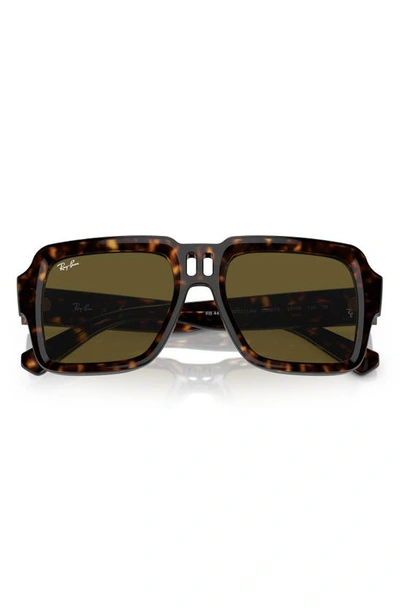 Shop Ray Ban Magellan 54mm Square Sunglasses In Havana