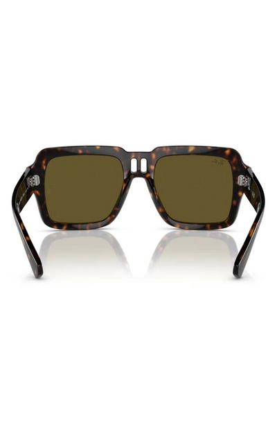 Shop Ray Ban Magellan 54mm Square Sunglasses In Havana