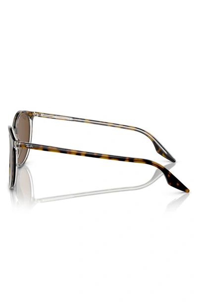 Ray Ban 54mm Polarized Round Phantos Sunglasses In Brown