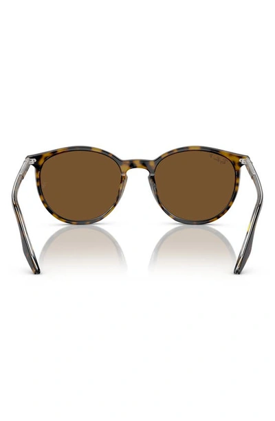 Ray Ban 54mm Polarized Round Phantos Sunglasses In Brown